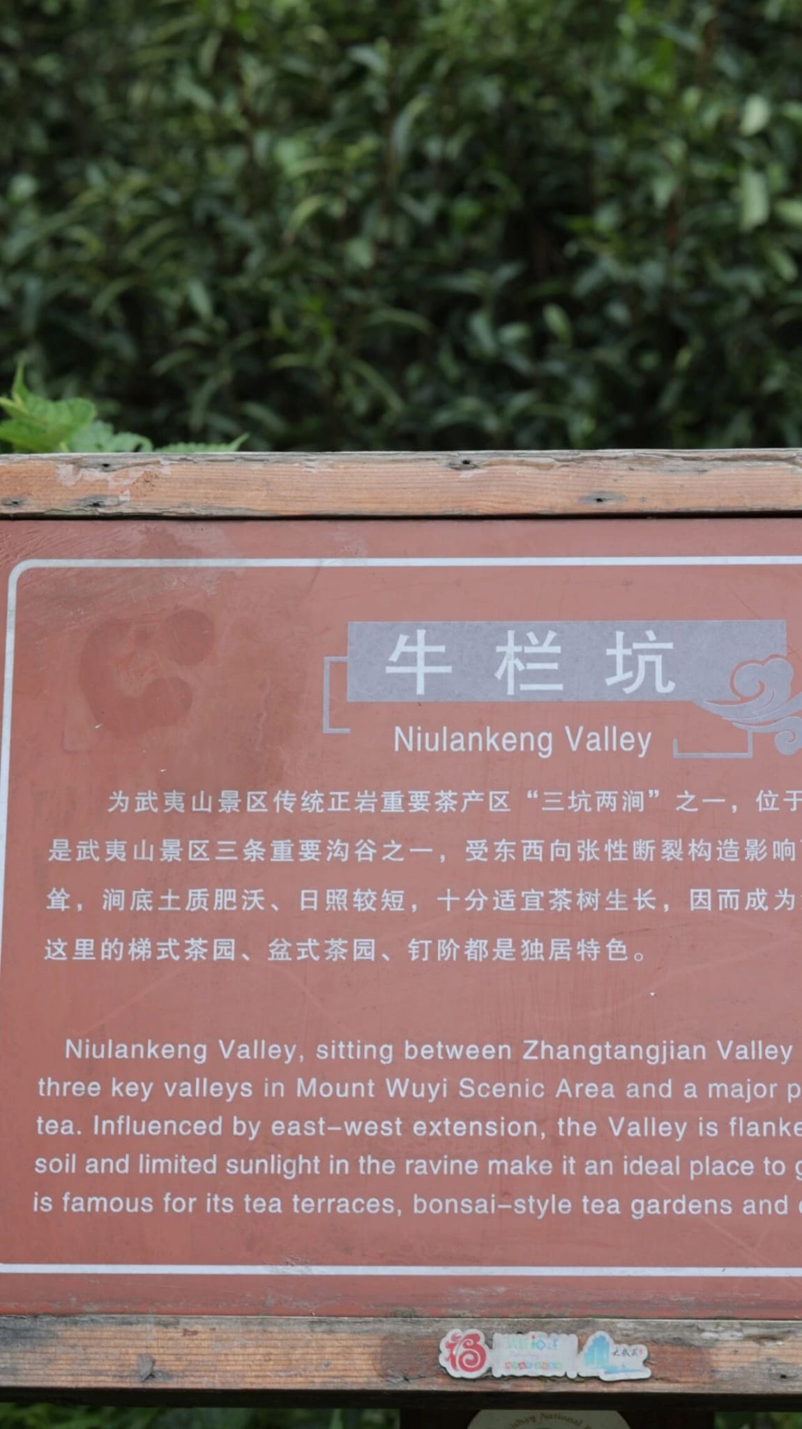 Mindful tea packaging and service commitment