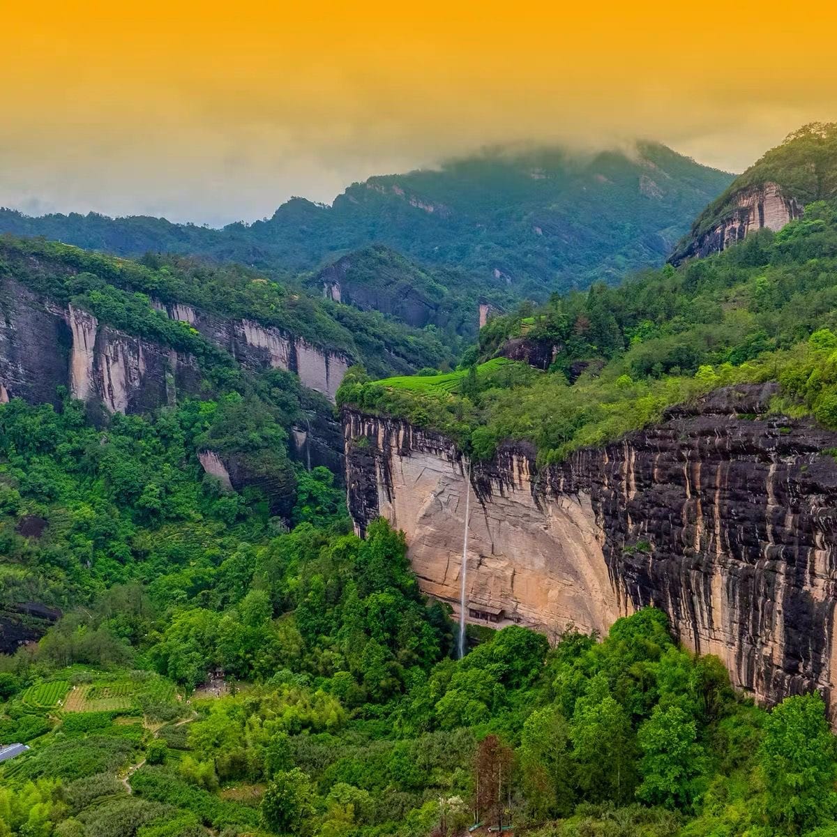 Wuyi Mountain tea garden and peaks