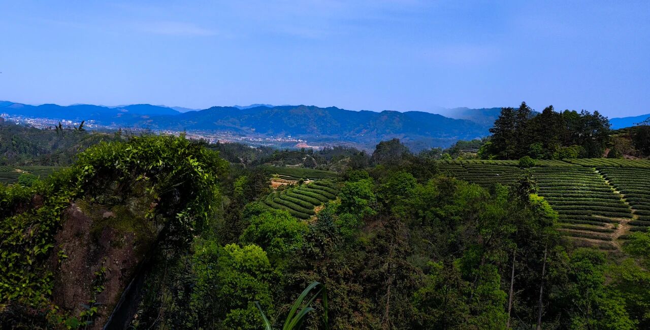 Wuyi Mountain ridgeline