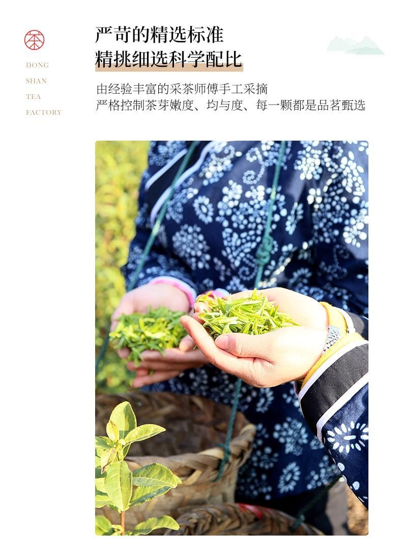 2026 New Tea Suzhou Biluochun Grade-AA