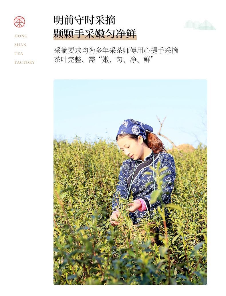 2026 New Tea Suzhou Biluochun Grade-AA