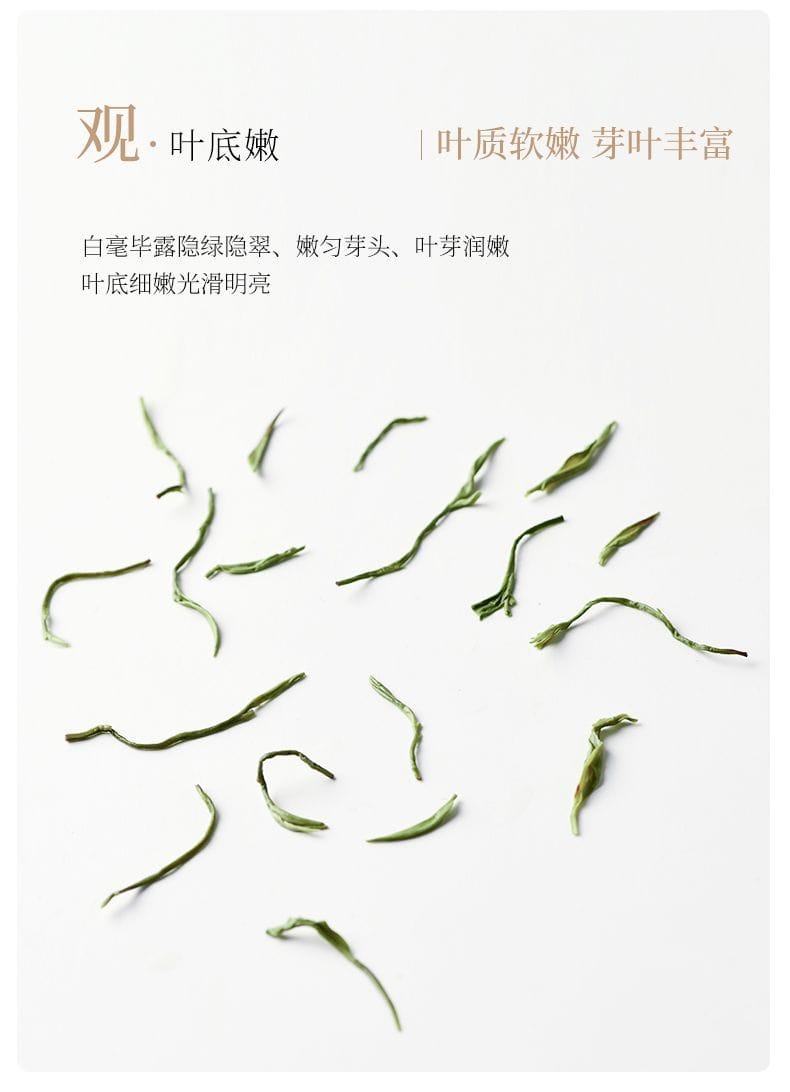 2026 New Tea Suzhou Biluochun Grade-AA