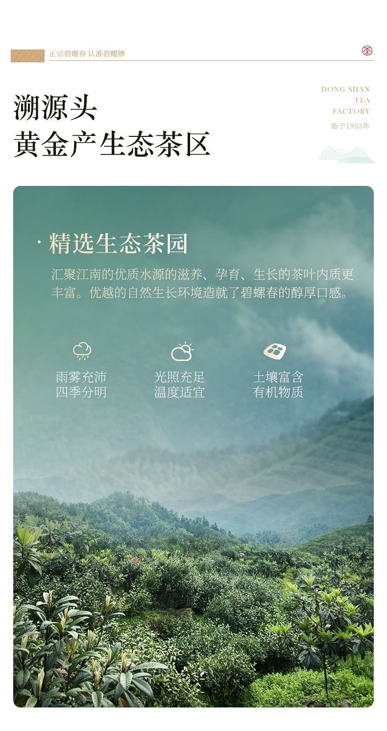 2026 New Tea Suzhou Biluochun Grade-AA