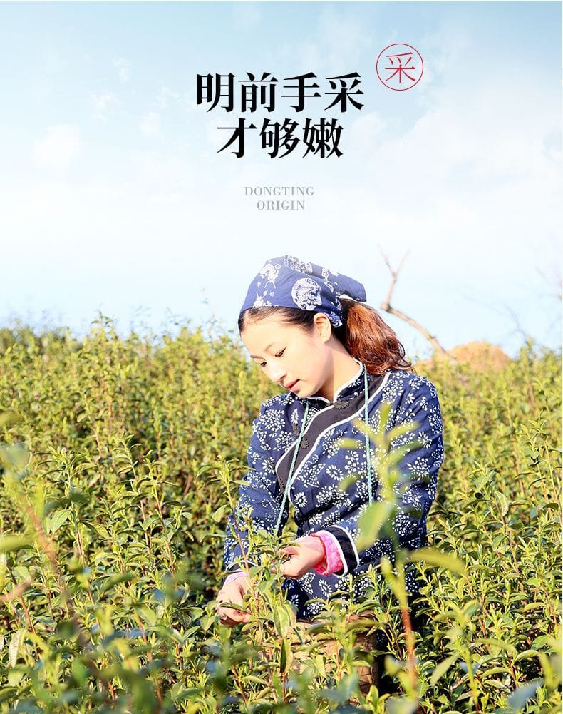 2026 New Tea Dongting Mountain Biluochun Grade-AAA
