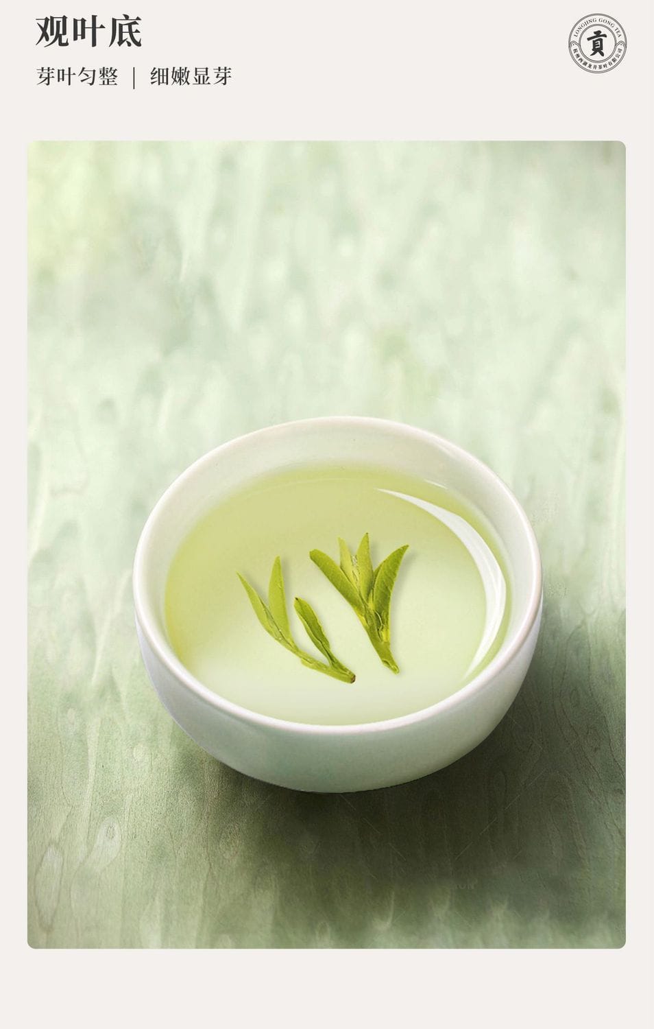 2026 New Tea West Lake Longjing Grade-AA Pre-Qingming