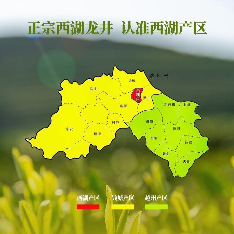 2026 New Tea West Lake Longjing Grade-AA Pre-Qingming