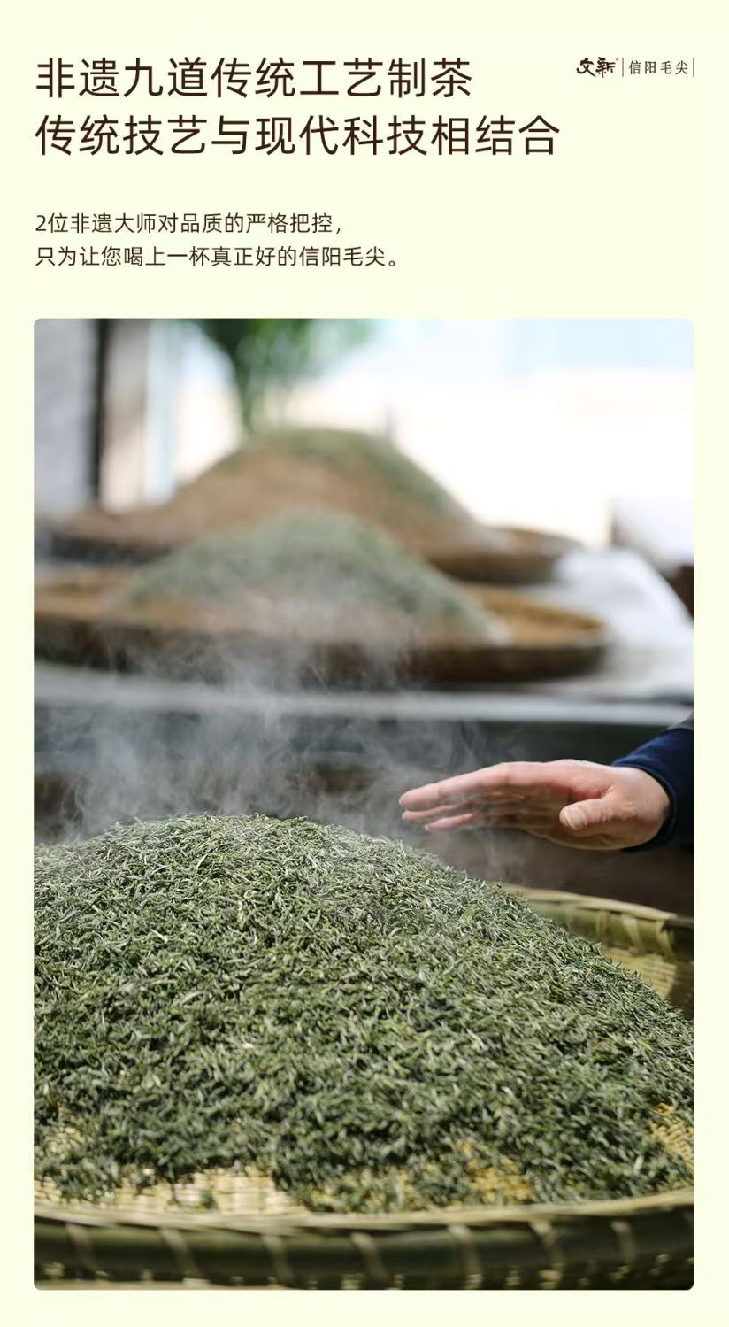 2026 New Tea Pre-Ming Xinyang Maojian Grade-AAA