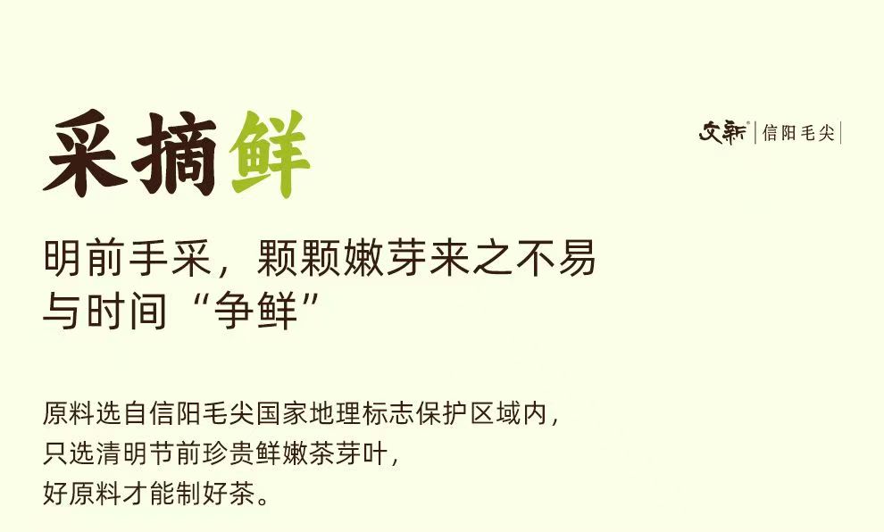 2026 New Tea Pre-Ming Xinyang Maojian Grade-AAA
