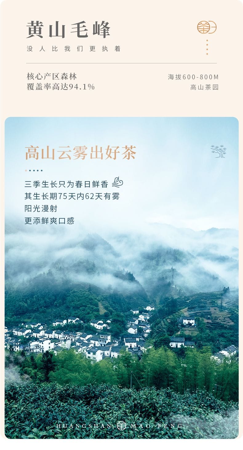 2026 New Tea Pre-Ming Huangshan Maofeng Green Tea Grade-AAA