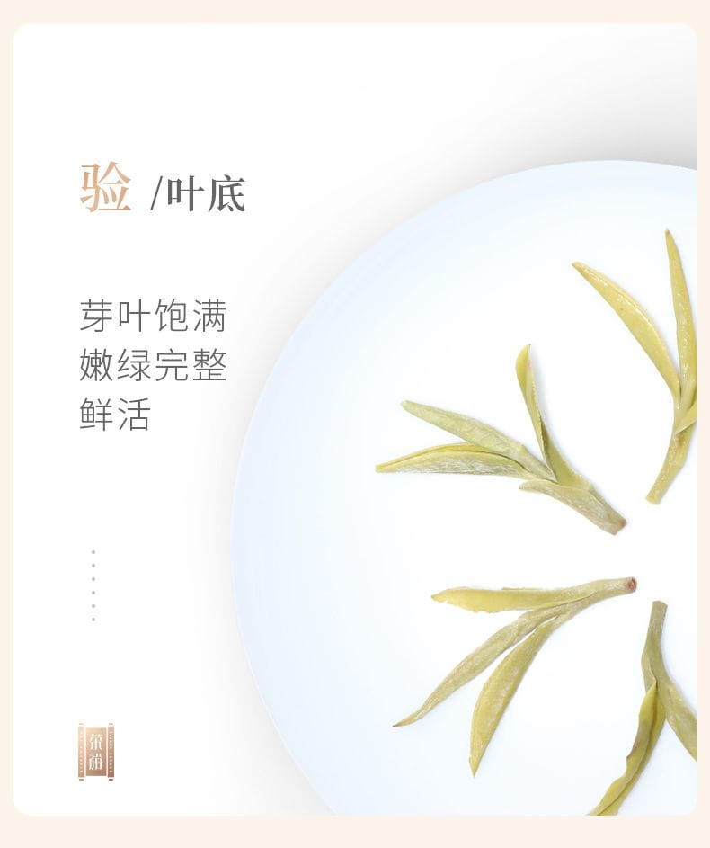 2026 New Tea Pre-Ming Huangshan Maofeng Green Tea Grade-AAA