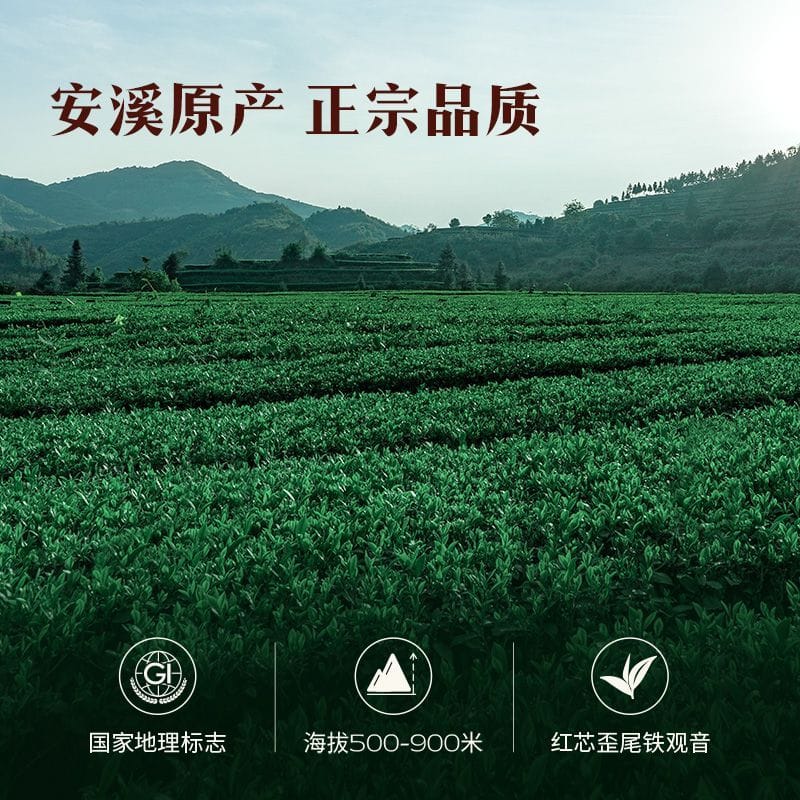 2026 New Tea Pearl Tie Guan Yin Strong Aroma Oolong Tea Grade-AA
