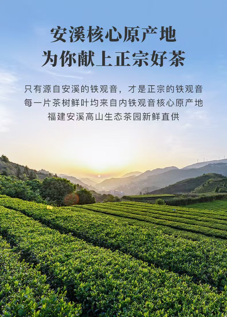 2026 New Tea Pearl Tie Guan Yin King Strong Aroma Oolong Tea Grade-AAA