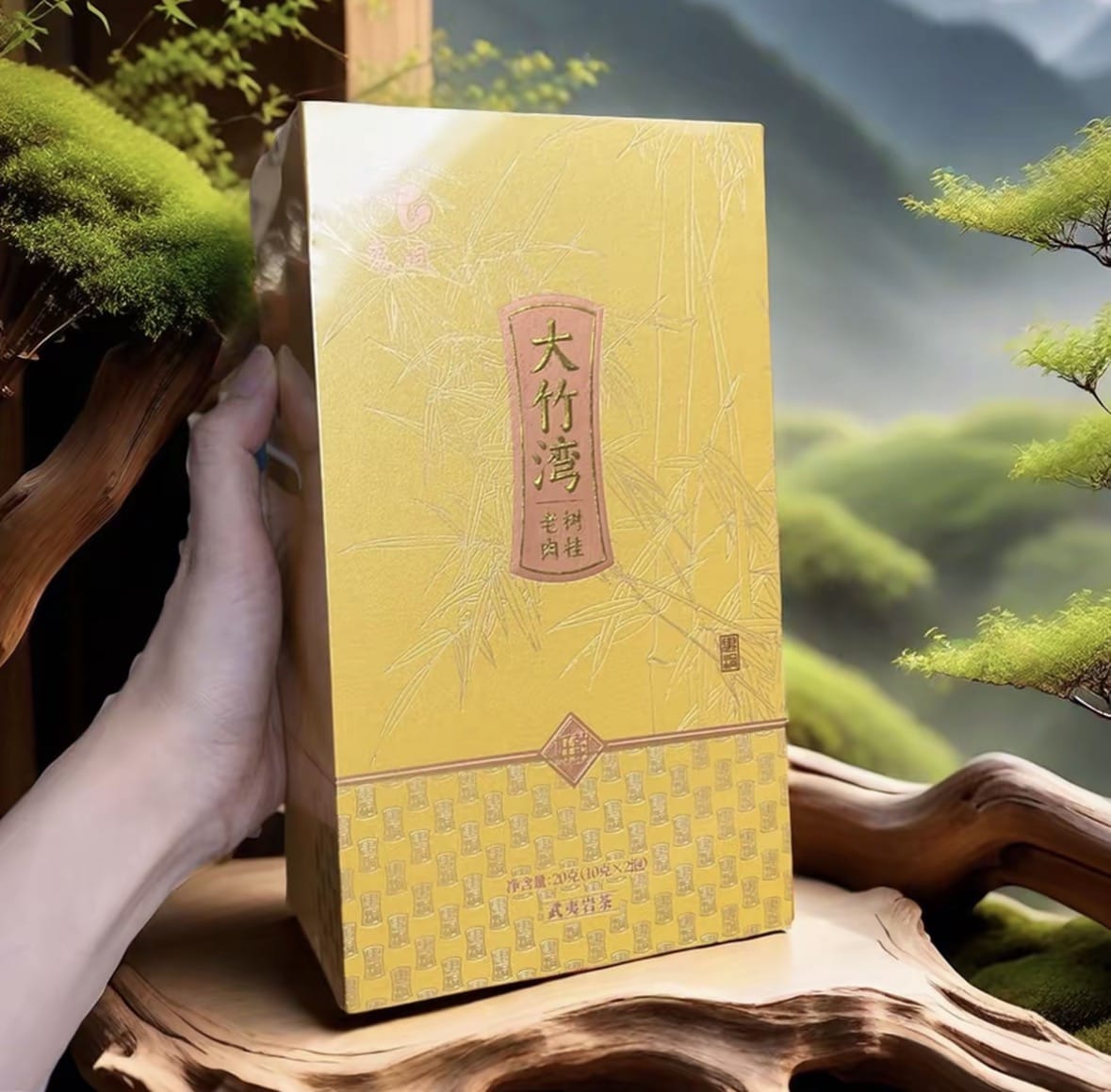 Guidong Dazhuwan Rougui (Cinnamon Aroma) — Wuyi Rock Oolong Tea