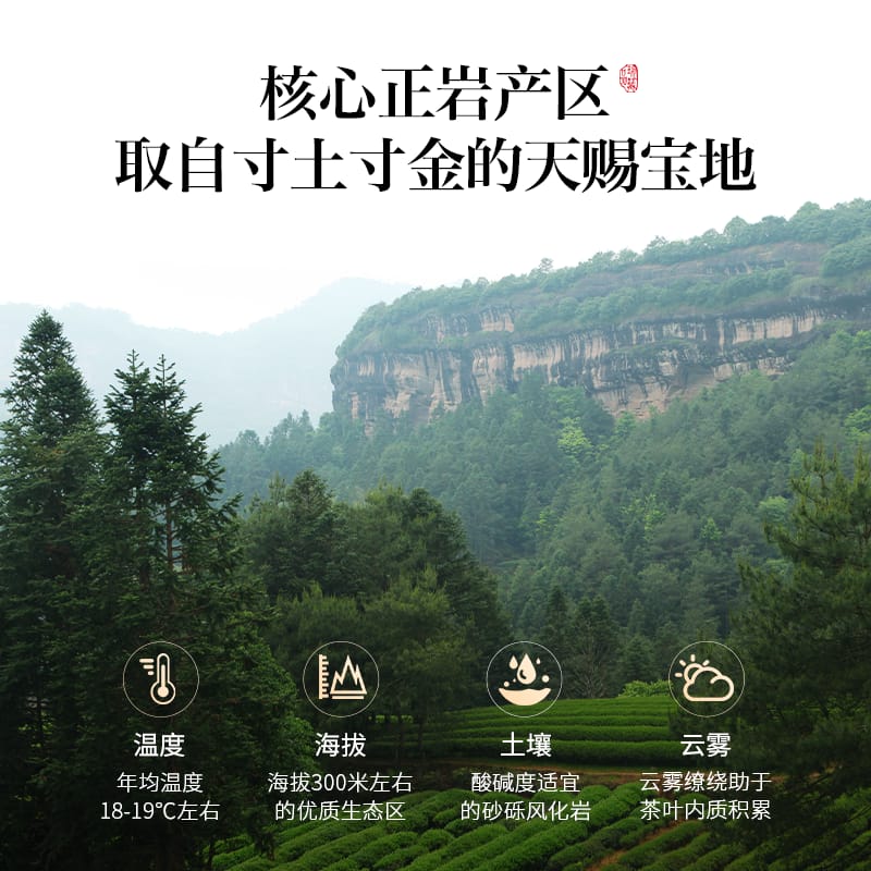 Cardamom Wuyi Rock Oolong Tea