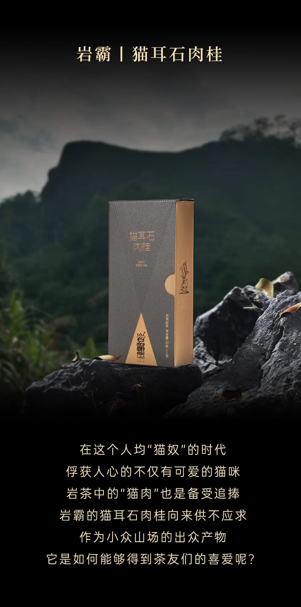Cat Ear Rougui (Cinnamon Aroma) — Wuyi Rock Oolong Tea — YanBa