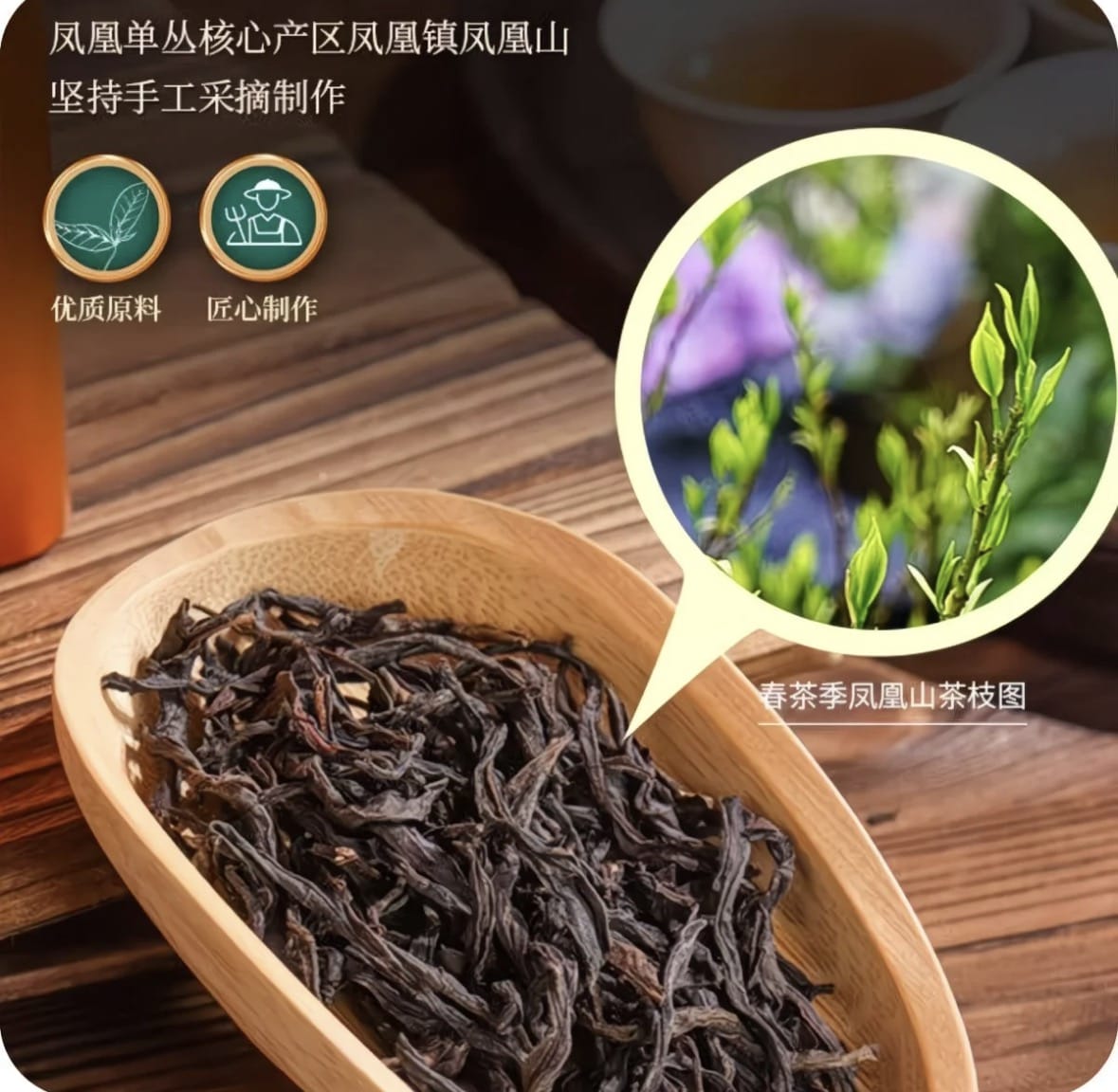 Dancong Phoenix — Aromatic Oolong Tea