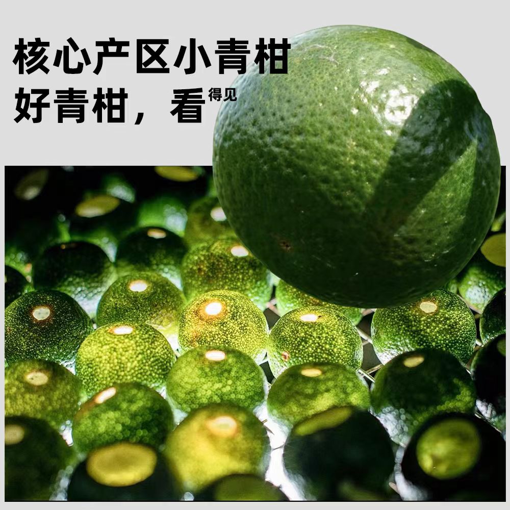 2026 New Tea Small Green Tangerine Pu-erh (Xiao Qing Gan)