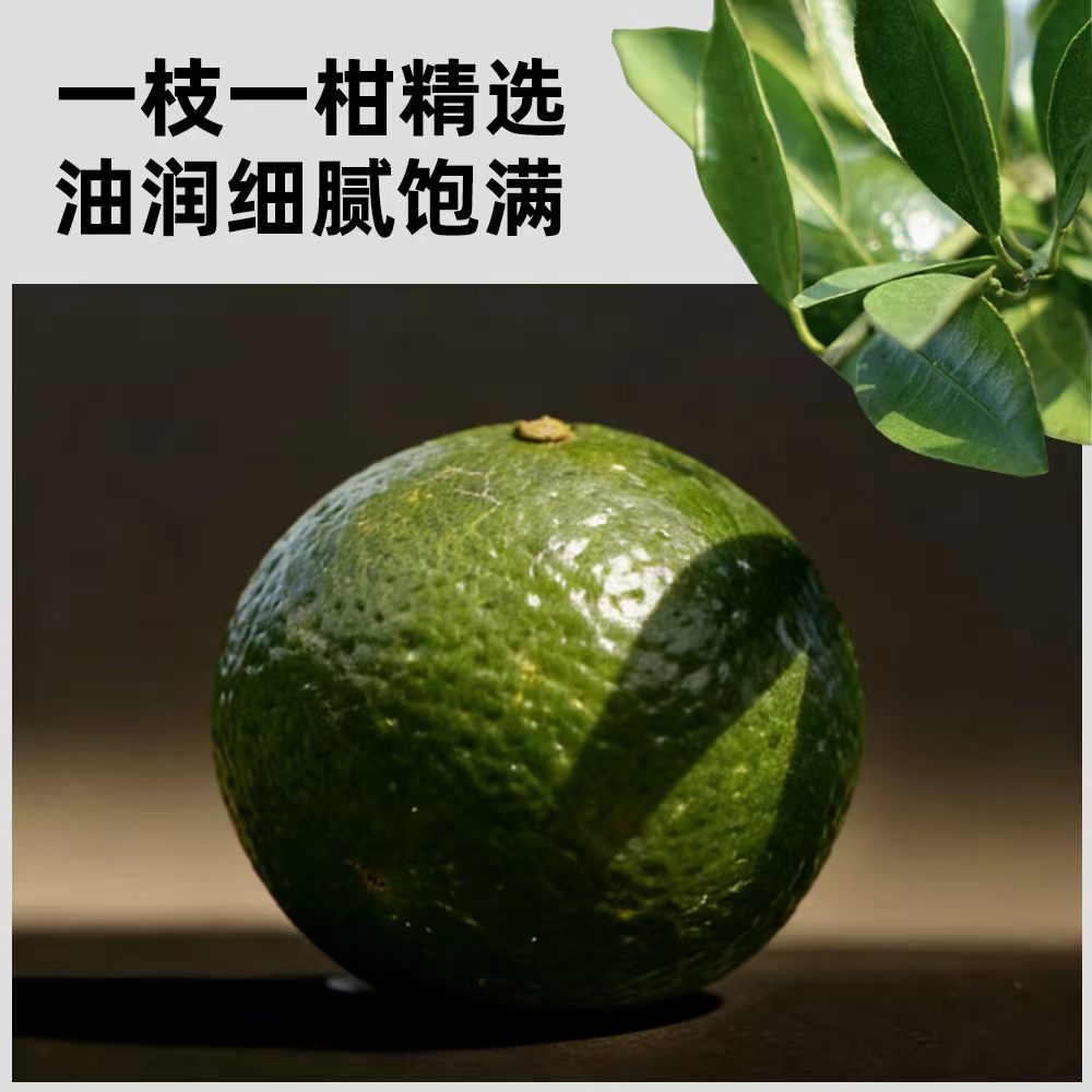 2026 New Tea Small Green Tangerine Pu-erh (Xiao Qing Gan)