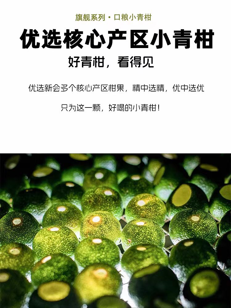 2026 New Tea Small Green Tangerine Pu-erh (Xiao Qing Gan)