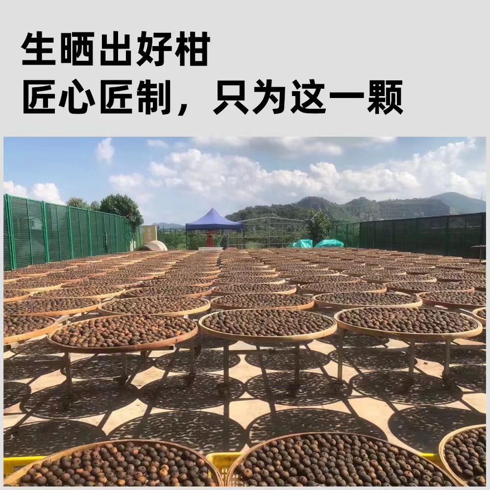 2026 New Tea Small Green Tangerine Pu-erh (Xiao Qing Gan)
