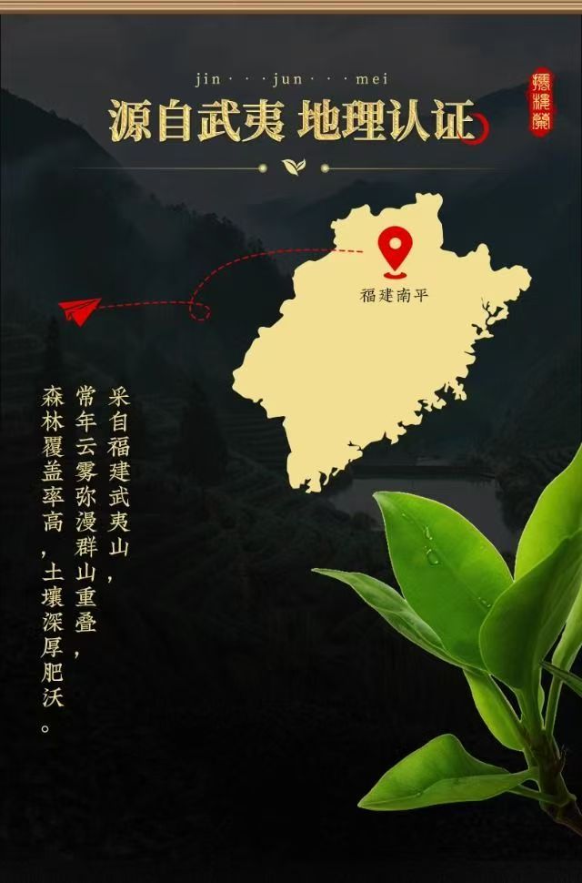 2026 New Tea Jin Jun Mei Black Tea Grade-AAA