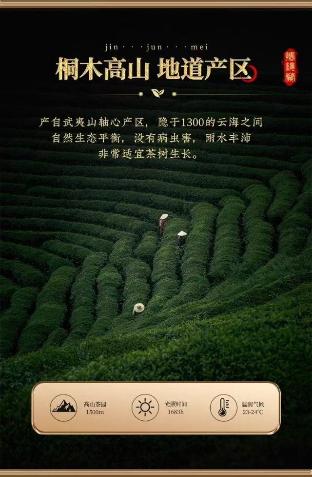 2026 New Tea Jin Jun Mei Black Tea Grade-AAA