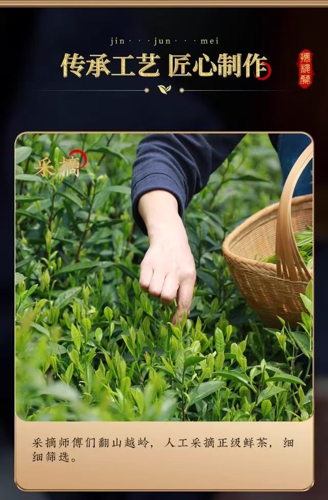 2026 New Tea Jin Jun Mei Black Tea Grade-AAA