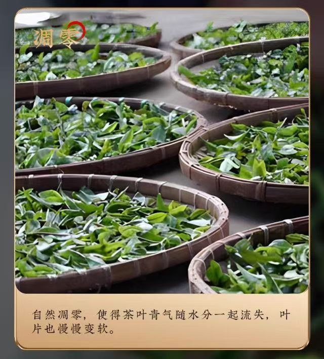 2026 New Tea Jin Jun Mei Black Tea Grade-AAA
