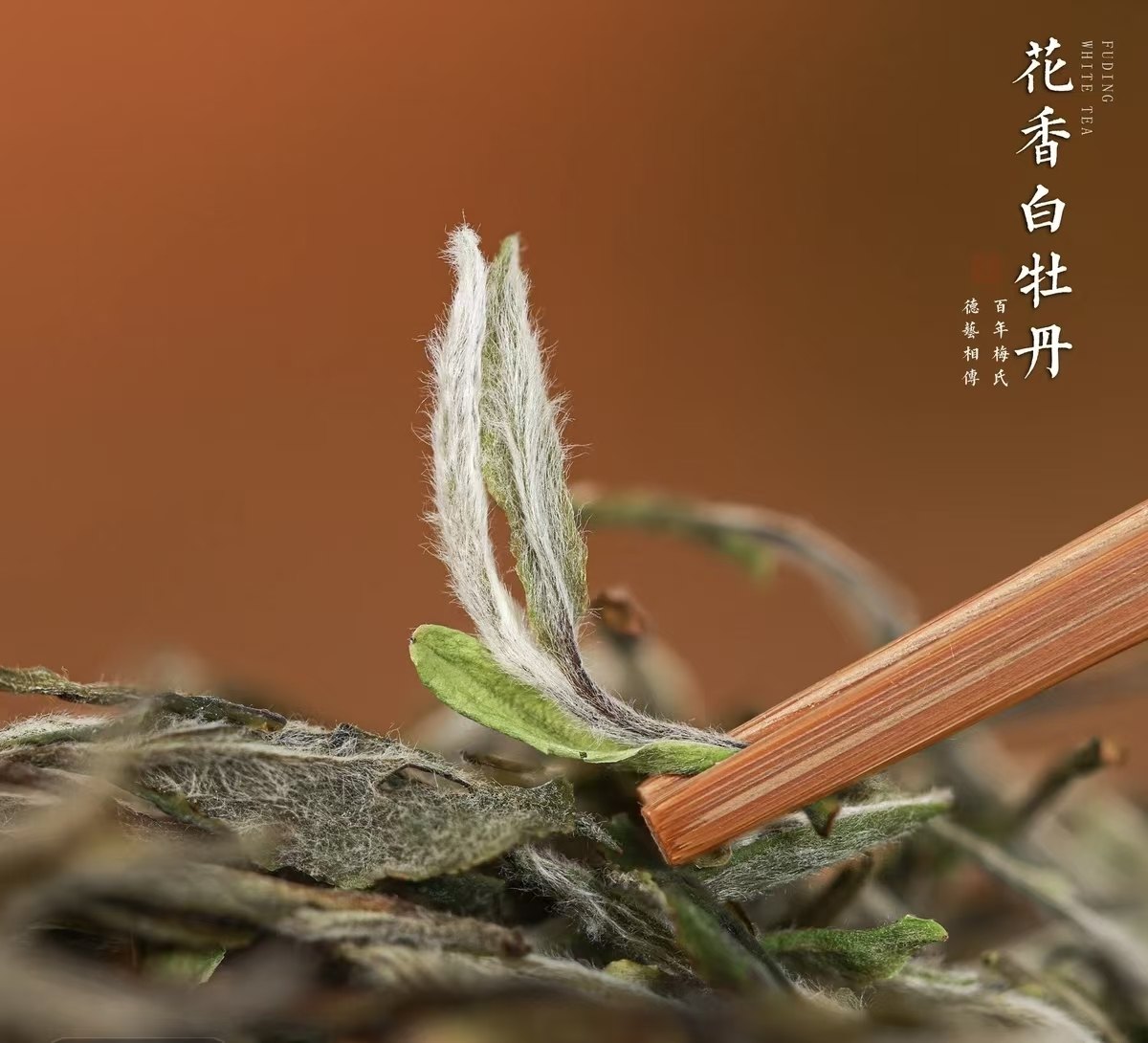 2026 New Tea Old Tree Peony King White Tea Grade-AAA