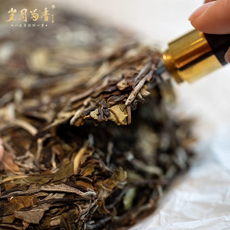 Ancient Tree White Tea
