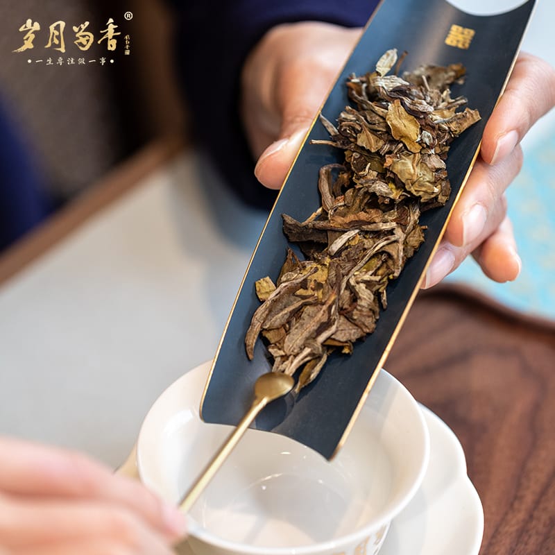 Ancient Tree White Tea